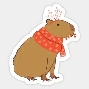 Christmas capybara with candy cane Sticker